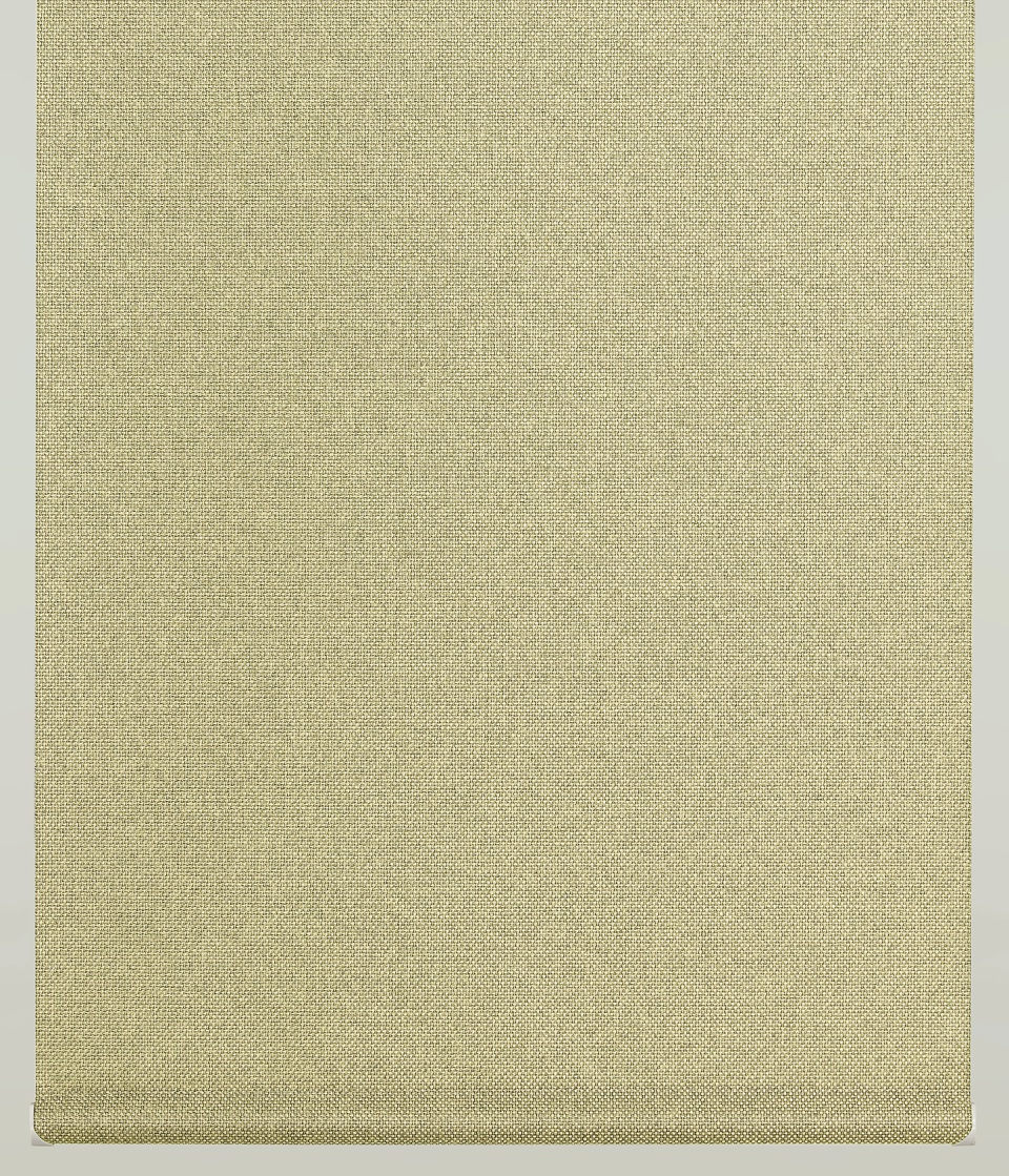 RS-8260