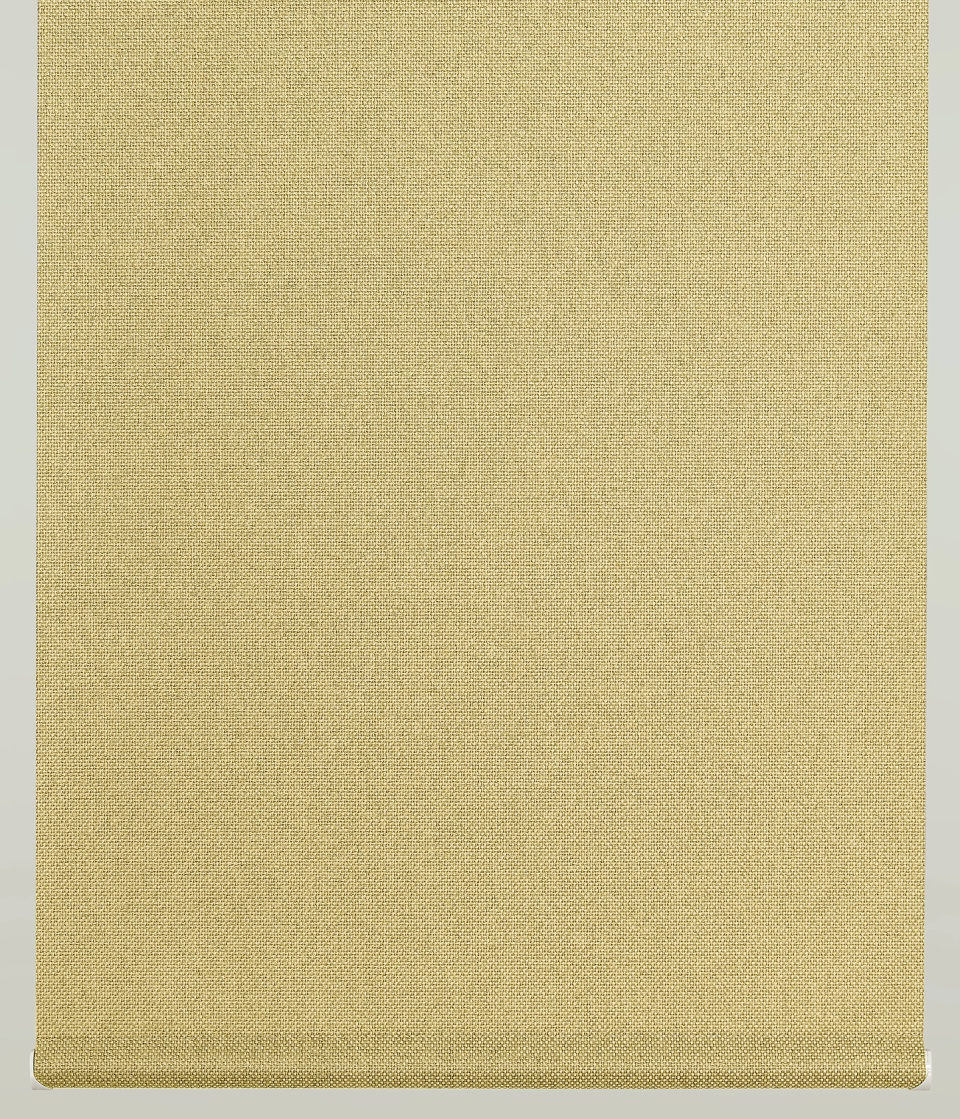RS-8262