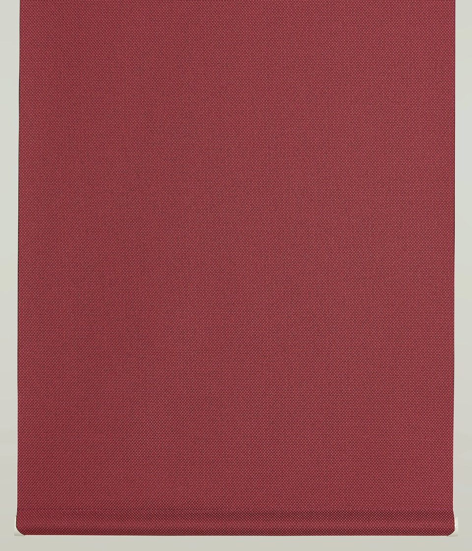 RS-8290
